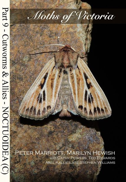 Moths of Victoria, Part 9: Cutworms and Allies – Noctuoidea (C)