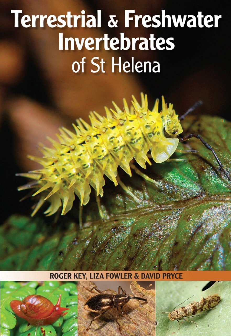 Terrestrial & Freshwater Invertebrates of St Helena | NHBS Field Guides &  Natural History