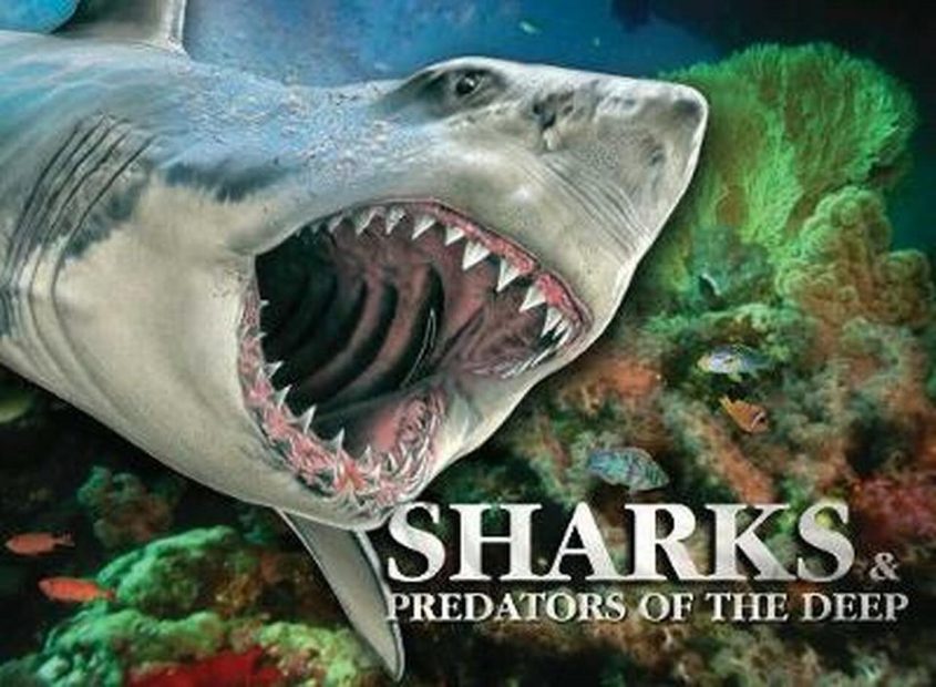 Sharks & Predators of the Deep
