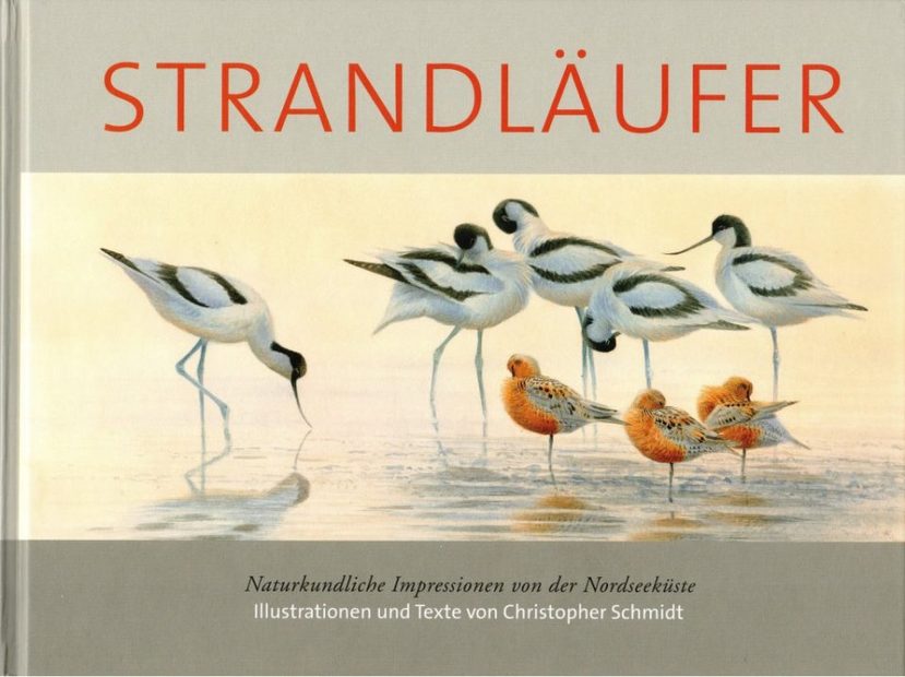 Strandläufer: Naturkundliche Impressionen von der Nordseeküste [Sandpipers: Natural History Impressions from the North Sea Coast]