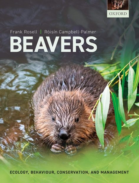 Beavers