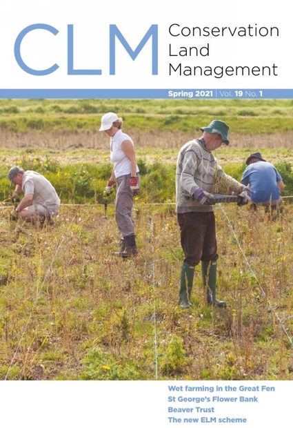 CLM 19.1 Spring 2021