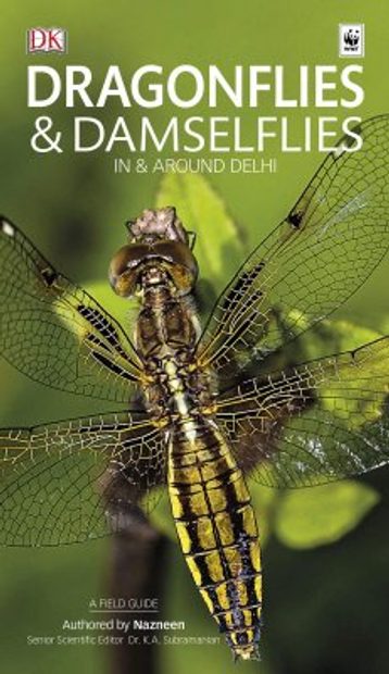 Dragonflies & Damselflies In and Around Delhi
