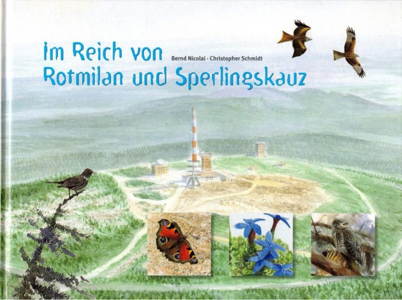 Im Reich von Rotmilan und Sperlingskautz: Naturerleben im Harz und Harzvorland [In the Realm of Red Kites and sparrows: Experiencing Nature in the Harz and Harz Foreland]