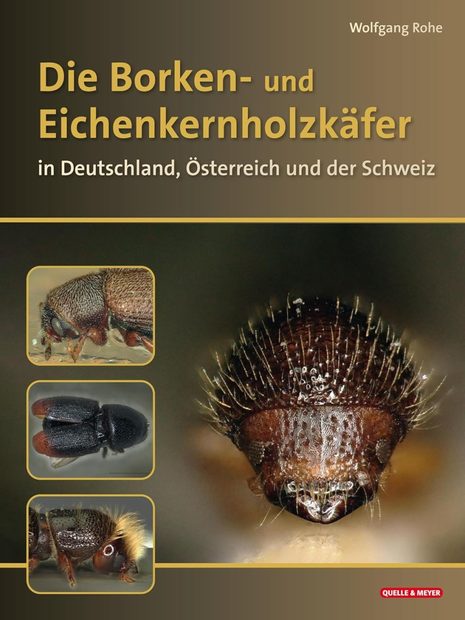 Die Borkenkäfer Deutschlands, Österreichs und der Schweiz: Mit Splinten- und Eichenkernholzkäfern [The Bark Beetles of Germany, Austria and Switzerland: With Cedar Bark Beetles and Oak Pinhole Borers]