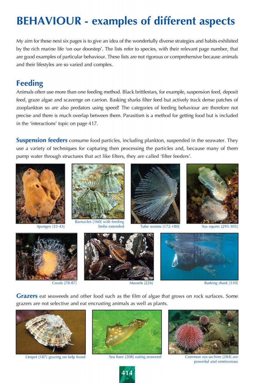 Great British Marine Animals | NHBS Field Guides & Natural History