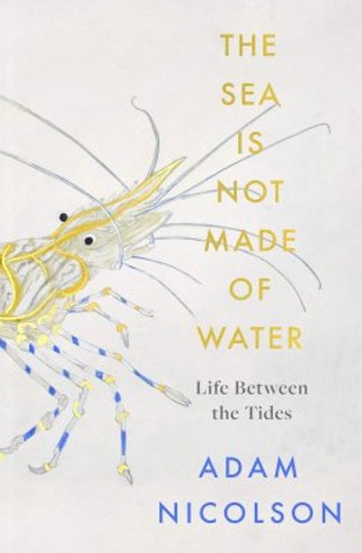 Life Between the Tides / The Sea Is Not Made of Water
