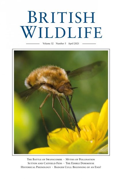 British Wildlife 32.5 April 2021