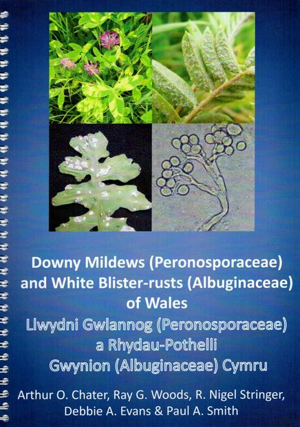 Downy Mildews (Peronosporaceae) and White Blister-Rusts (Albuginaceae) of Wales