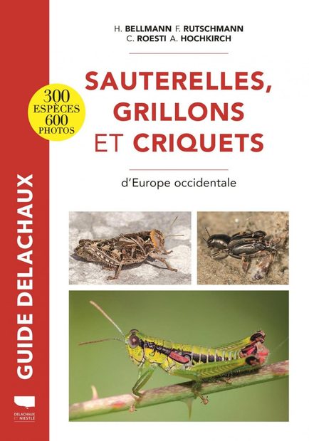 Guide des Sauterelles, Grillons et Criquets d'Europe Occidentale [Guide to the Grasshoppers, Crickets and Locusts of Western Europe]