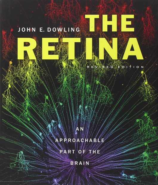 The Retina