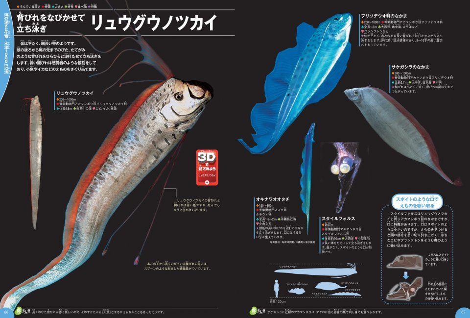 Shinkai Seibutsu Deep Sea Creatures Nhbs Academic Professional Books