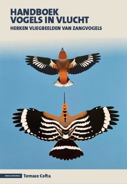 Handboek Vogels in Vlucht: Herken Vliegbeelden van Zangvogels [Flight Identification of European Passerines and Select Landbirds: An Illustrated and Photographic Guide]