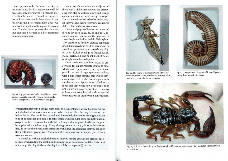 Specimen-Making and Preservation of Invertebrates | NHBS Academic &  Professional Books