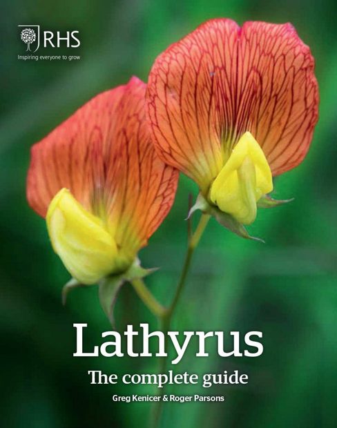 Lathyrus
