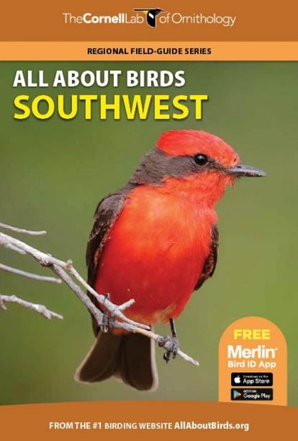 All About Birds Southwest