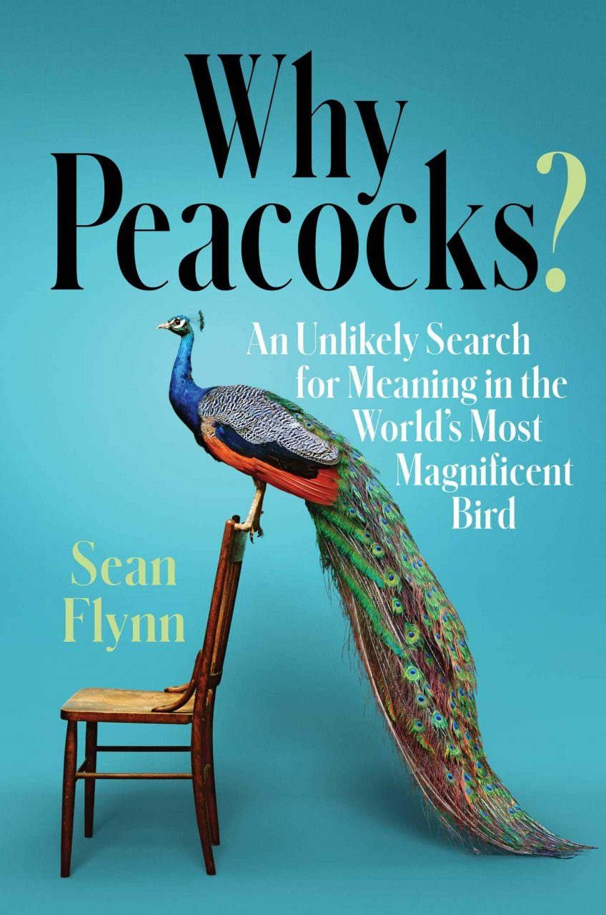 Good　NHBS　Reads　Why　Peacocks?