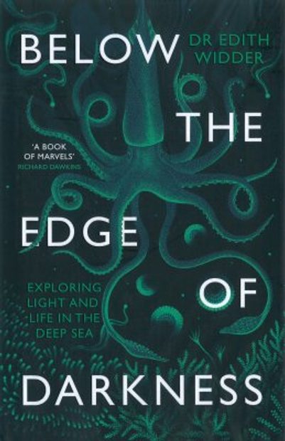 Below the Edge of Darkness