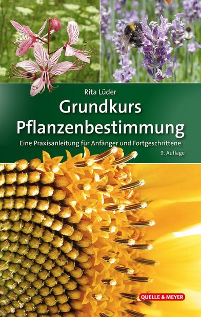 Grundkurs Pflanzenbestimmung: Eine Praxisanleitung für Anfänger und Fortgeschrittene [Basic Plant Identification Course: A Practical Guide for Beginners and Experts]