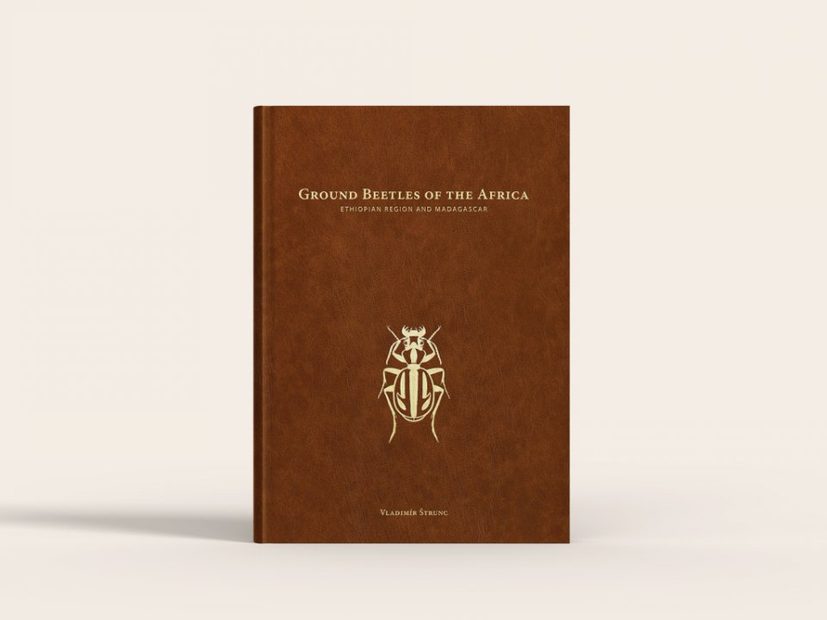 Ground Beetles of Africa