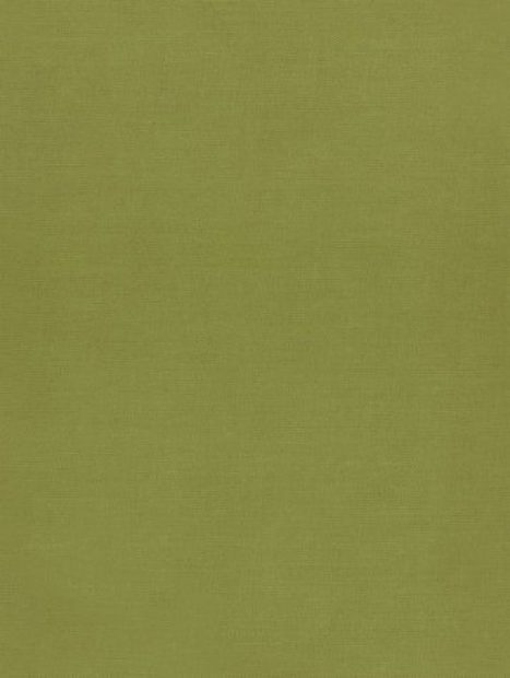 Illustrated Catalogue of the Rothschild Collection of Fleas, Volume 2