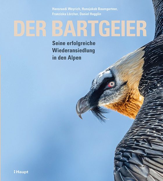 Der Bartgeier: Seine Erfolgreiche Wiederansiedlung in den Alpen [The Bearded Vulture: Its Successful Resettlement in the Alps]
