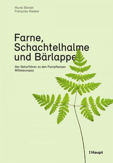 Farne, Schachtelhalme und Bärlappe: Der Naturführer zu den Farnpflanzen Mitteleuropas [Ferns, Horsetails and Clubmosses: The Field Guide to the ferns of Central Europe]