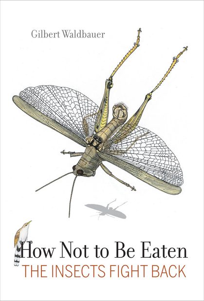 How Not to be Eaten