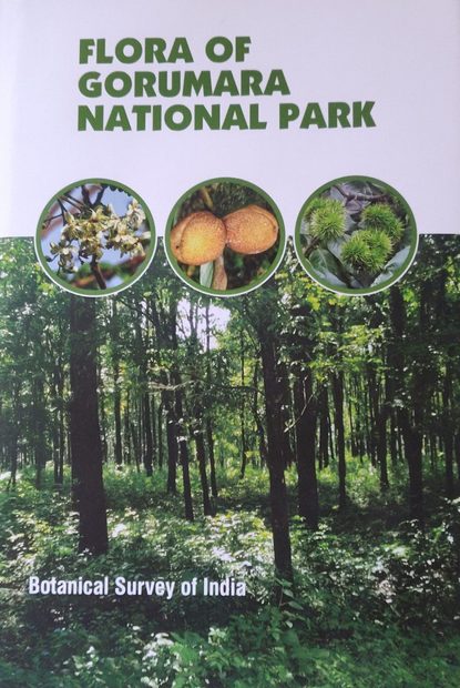 Flora of Gorumara National Park