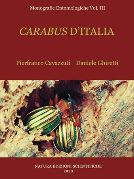 Carabus d'Italia [Carabus Beetles of Italy]