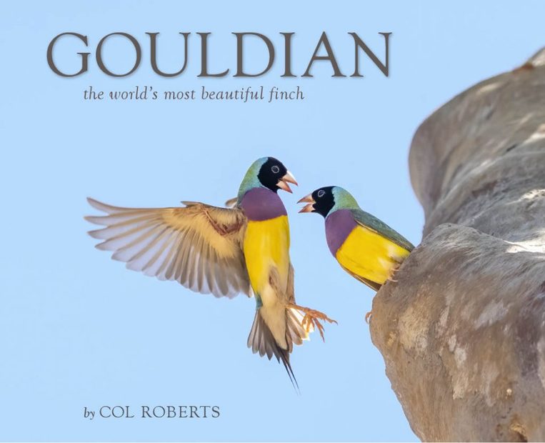 Gouldian