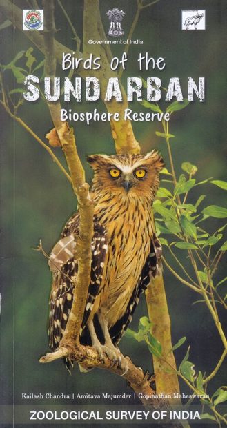 Birds of the Sundarban Biosphere Reserve
