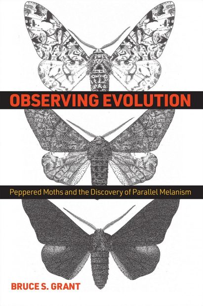 Observing Evolution
