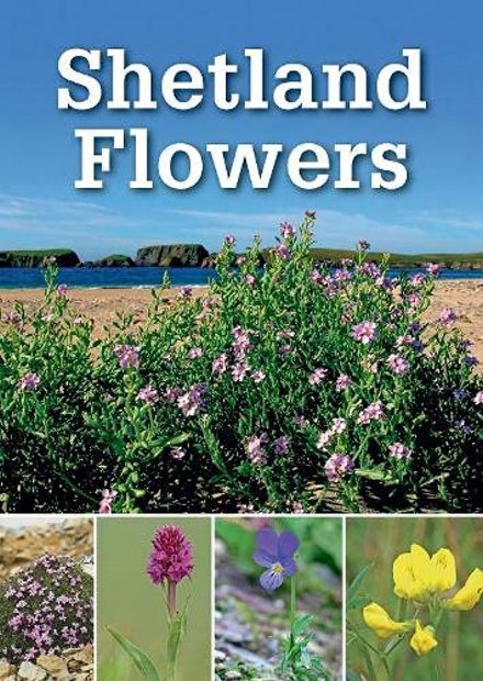 Shetland Flowers