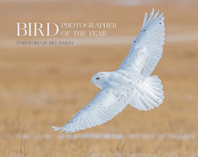 Bird Photographer of the Year, Collection 6