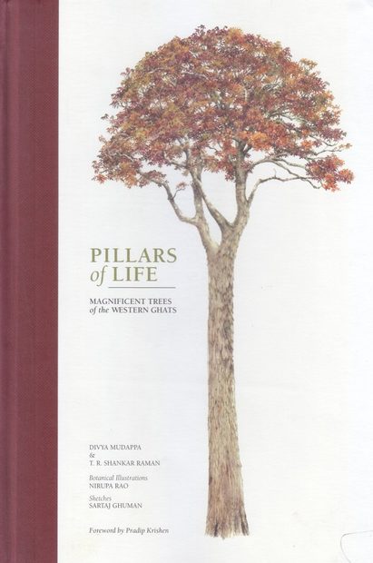 Pillars of Life
