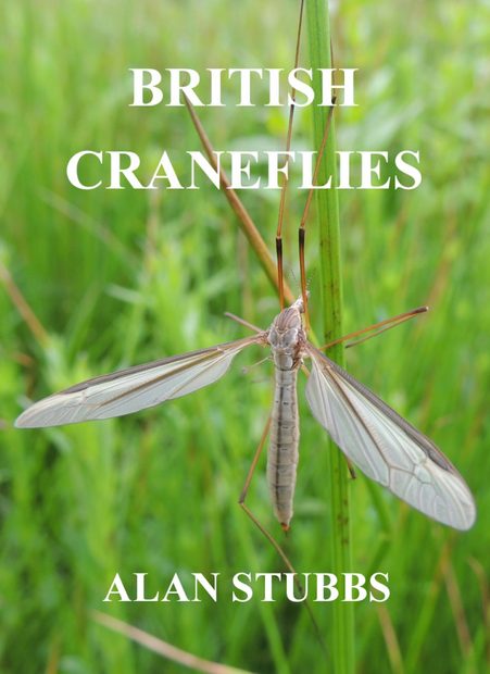 British Craneflies