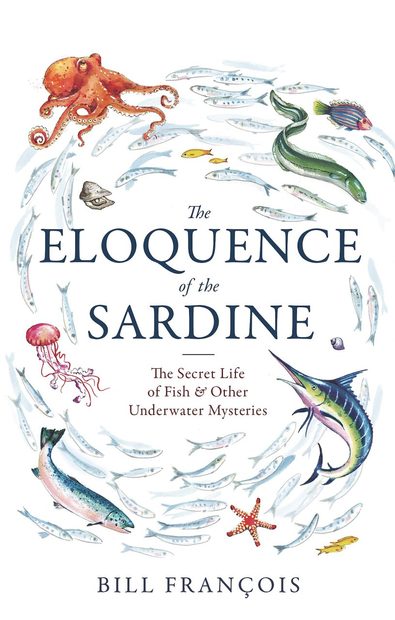 The Eloquence of the Sardine