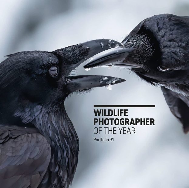 Wildlife Photographer of the Year, Portfolio 31