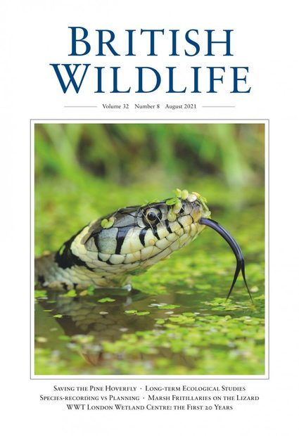 British Wildlife 32.8 August 2021