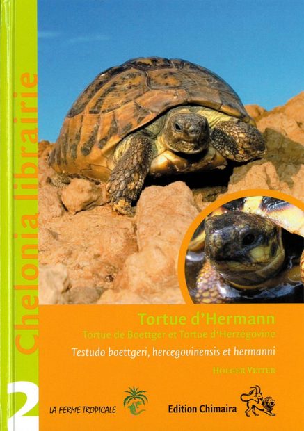 Tortue d'Hermann: Tortue de Boettger et Tortue d'Herzégovine [Hermann's Tortoise: Boettger's and Dalmatian Tortoises (Testudo boettgeri, hercegovinensis and hermanni)]
