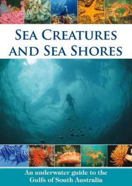 Sea Creatures and Sea Shores