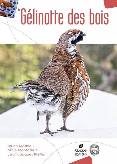 La Gélinotte des Bois [The Wood Grouse]