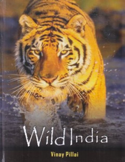 Wild India