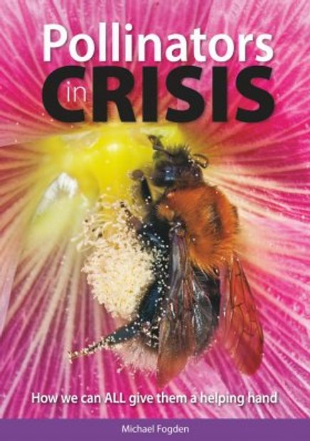 Pollinators in Crisis