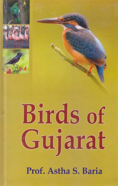Birds of Gujarat