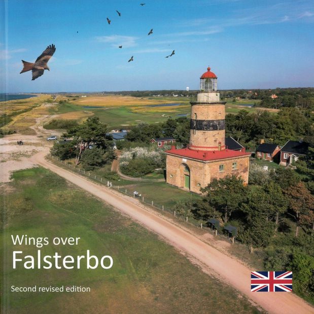 Wings Over Falsterbo