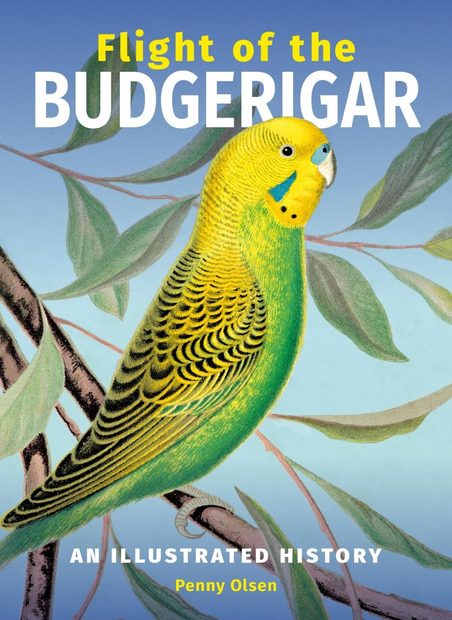 Flight of the Budgerigar