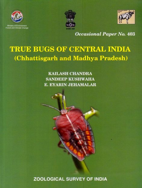 True Bugs of Central India
