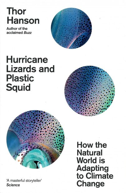 Hurricane Lizards and Plastic Squid
